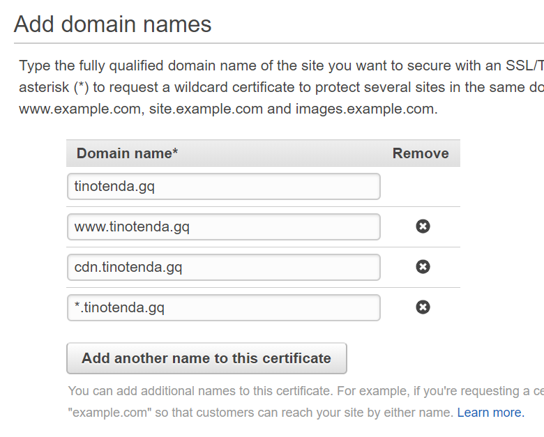 Domain names protected by the ACM SSL certificate