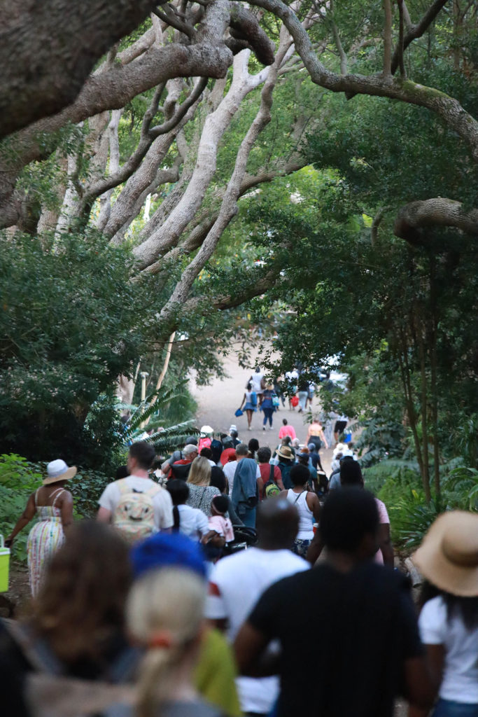 People walking to their cars after a Kirstenbosch concert